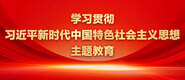 艹逼免费学习贯彻习近平新时代中国特色社会主义思想主题教育_fororder_ad-371X160(2)